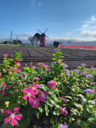 お気に入りのの...