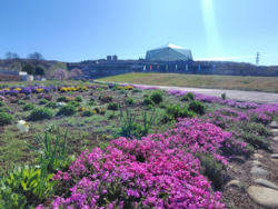 久しぶりに、な...