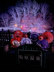 今年はここに行...