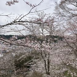 広い公園内には...