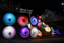 浅間神社さくら...
