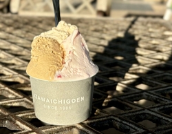 自治医科大学病...