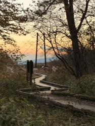 秋の夕陽に照ら...