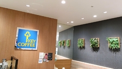 珈琲豆を求め訪...