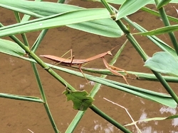 夏休み2度目の...