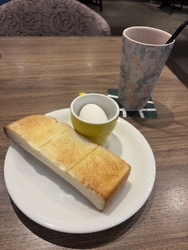 モーニングで伺...