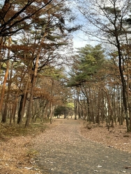 那須野が原公園...