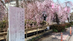 初めて知った釜...