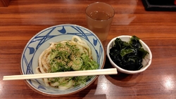 ぶっかけうどん...