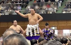 大相撲宇都宮場...