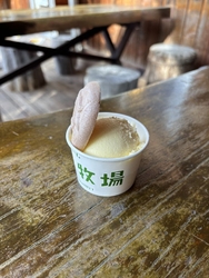 紅葉ドライブの...