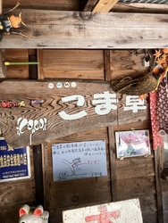 紅葉を見に足を...