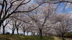 週末の土曜日の...