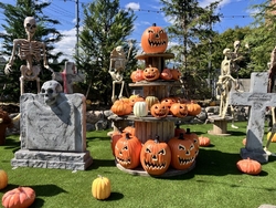 初訪問です。ビ...