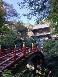 しばらくぶりに...