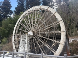 杉並木沿いにあ...