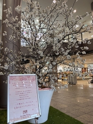 友人とこちらで...