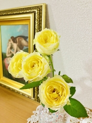 久しぶりにイエ...