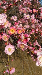 わくわくの初訪...