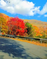 紅葉を見にドラ...