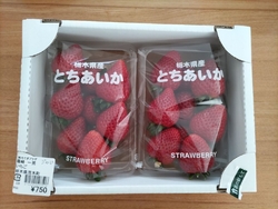 この日は大寒で...