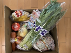 キャベツが激安...