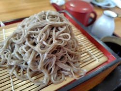 今日も暑〜い!...