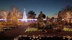 ずっと来たかっ...