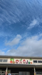 とっても広い売...