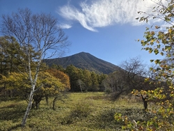 この日は、大変...