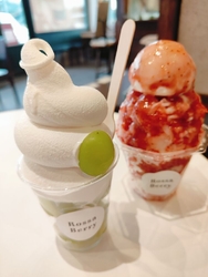 久しぶりの訪問...