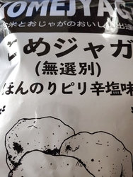 本日は日光おか...