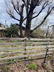 噂を聞きつけて...