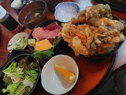 今年初めての鶴...