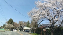 日光街道をドラ...