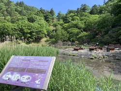 日光湯元の温泉...