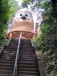 ふくろうで有名...