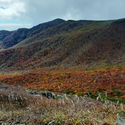 那須岳は紅葉真...