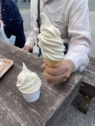 昼食後、豆腐ソ...