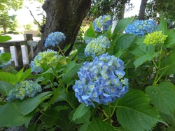 先日、下野新聞...