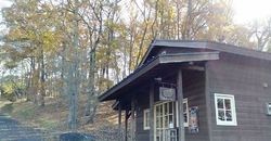 お店の周りが紅...