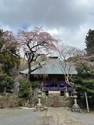 高舘山をハイキ...