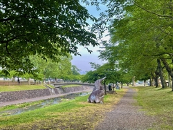美原公園で朝の...