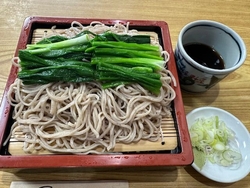 鹿沼市内は気に...