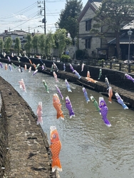 連休中に、鯉の...