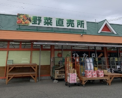 新鮮な野菜・果...