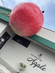 気になっていた...