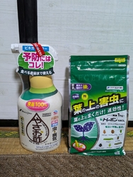 1夜にしてナス...