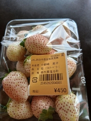 今日は、6月1...