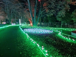 とっても寒い夜...